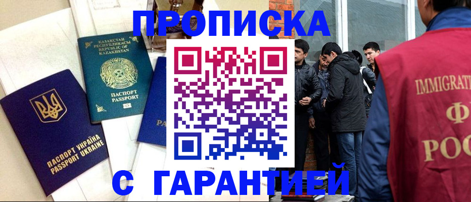 прописка 2025 в Елизово